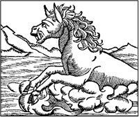Horse Sea-Creature.tif