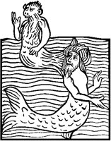 Sea Ape and Sea Turk.tif