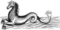 Sea Horse Creature.tif