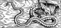 Sea Serpent Attacking Ship.tif