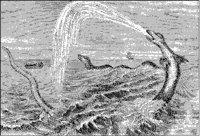 Two Sea Serpents.tif
