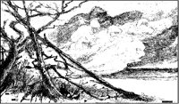 Hooded Spirits.tif