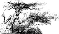 Animate Tree.tif