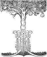 Money Tree.tif