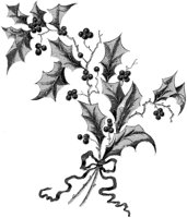 Holly (Medium).tif