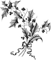 Holly (Smallest).tif