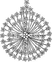 Easter Flowers Circle 3.tif