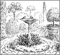 Birdbath.tif