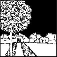 Fruit Tree in Garden.tif