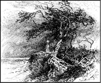 LIghthouse and Tree in Storm.tif