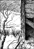 Snowstorm and Barnside.tif