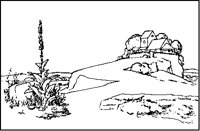 Spiked Plant and Cliff House.tif