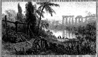 Banks of the Nile.tif