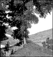 Country Road.tif