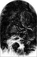 Trees over Torrent.tif