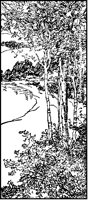 Birch Trees by Shore.tif