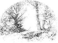 Grove by River.tif