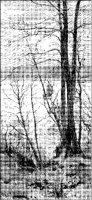 Hudson River Landscape.tif