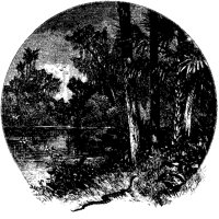 Jungles of the Río Verde.tif