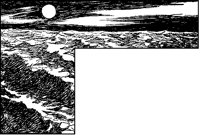 Moonlit Wavy Sea.tif