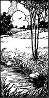Peaceful Brook with Trees.tif