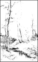 Spring in Black Hills.tif