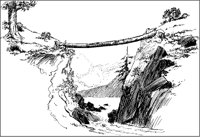 Tree over Gorge.tif