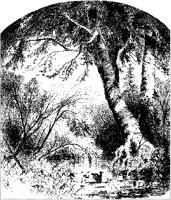 Trees and Ducks.tif