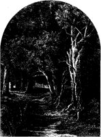 Trees by Brook.tif