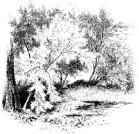 Trees by Pond.tif