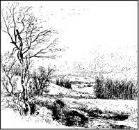 Bare Trees in Winter Wind.tif