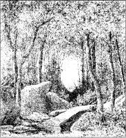 Dense Grove.tif