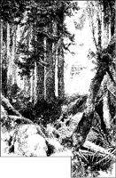Forest Scene 1.tif