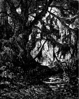 Forest Scene 2.tif