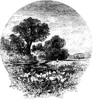September Landscape.tif