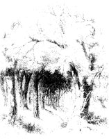 Shady Grove.tif