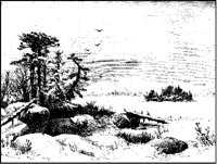 Winter Desolation.tif