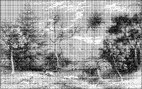 Araucaria Landscape.tif