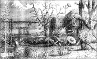 Cactus Landscape.tif