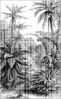 Fern Landscape.tif