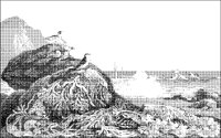 Seabirds and Algae Seascape.tif