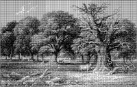 Timber Tree Landscape.tif