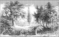 Warm Tree Landscape.tif