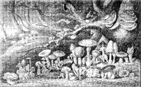 Mushroom Landscape.tif