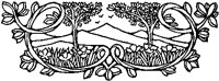 Placid Nature Design.tif