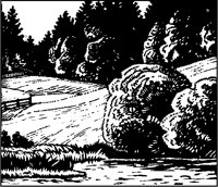 Pond and Fields Woodcut.tif