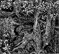 Study of Trees at Night.tif