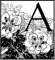 A - Flowers.tif
