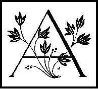 A - Leafy 1.tif