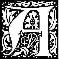 A - Leaves.tif
